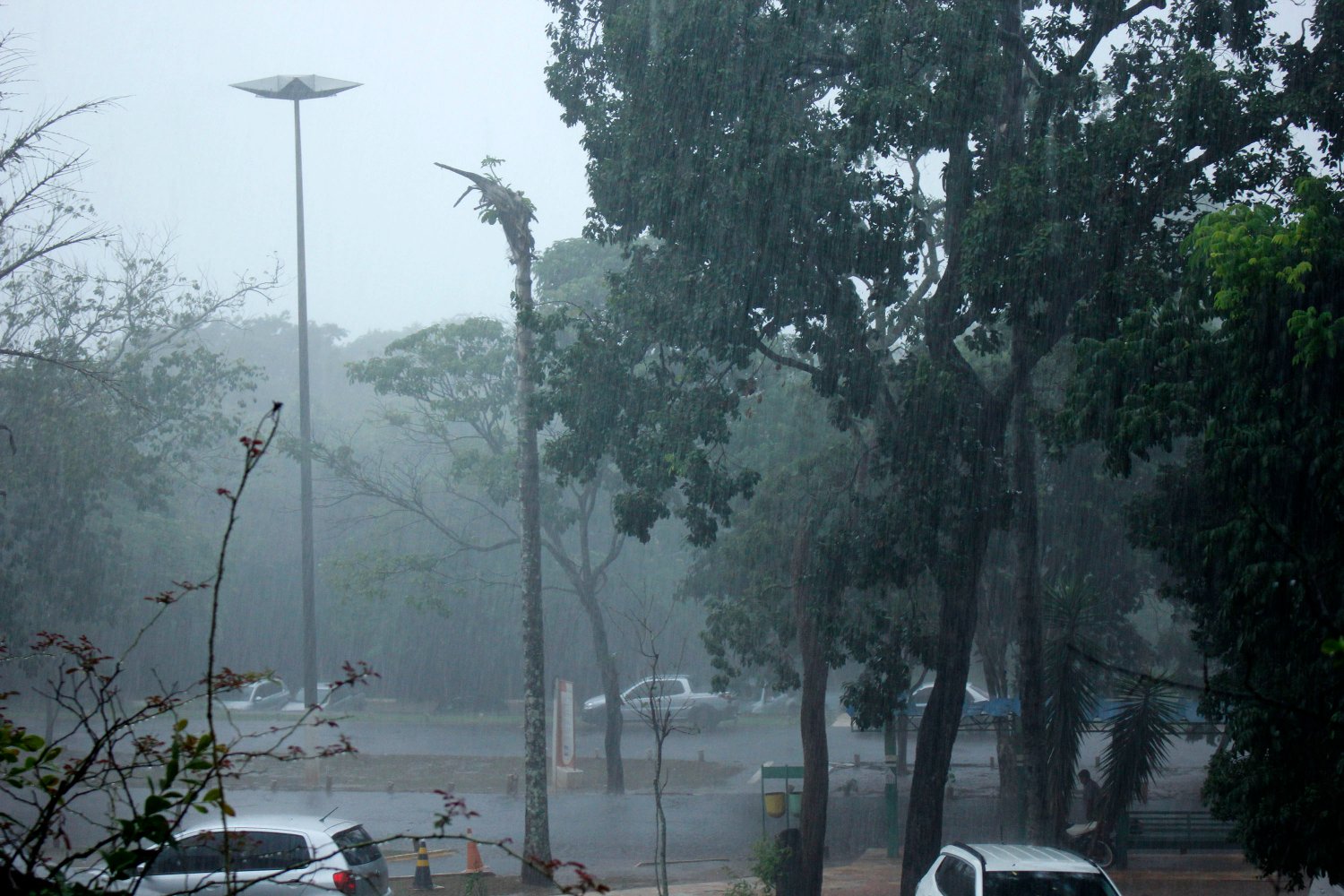 Domingo com temperatura em queda e chuva em parte de MS