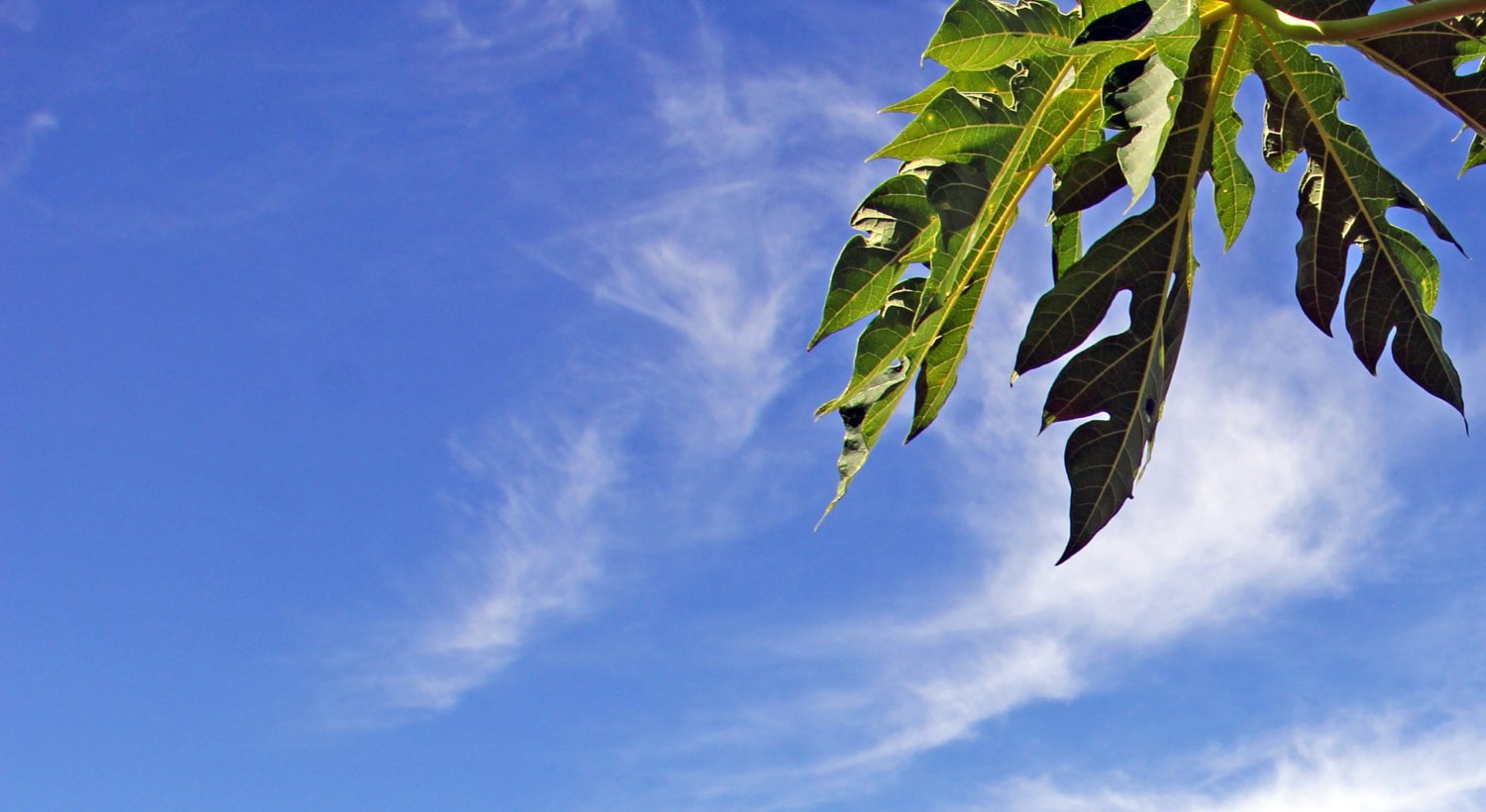 Estiagem permanece e terça-feira será de sol com algumas nuvens em Campo Grande