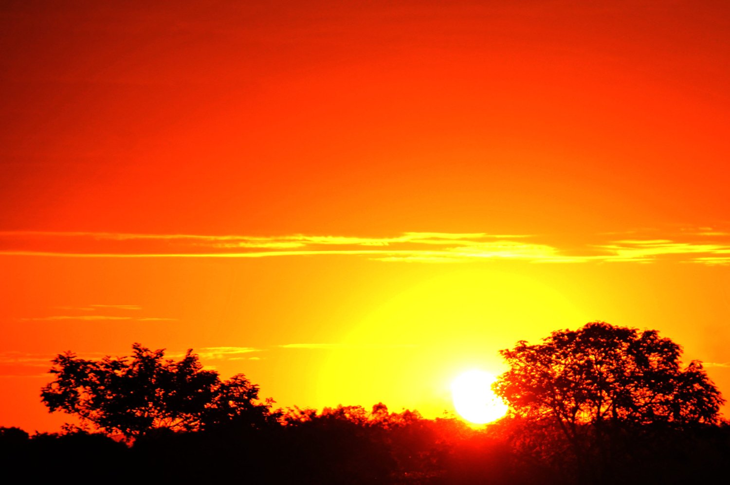 Fim de semana começa com mínima de 18ºC em Campo Grande