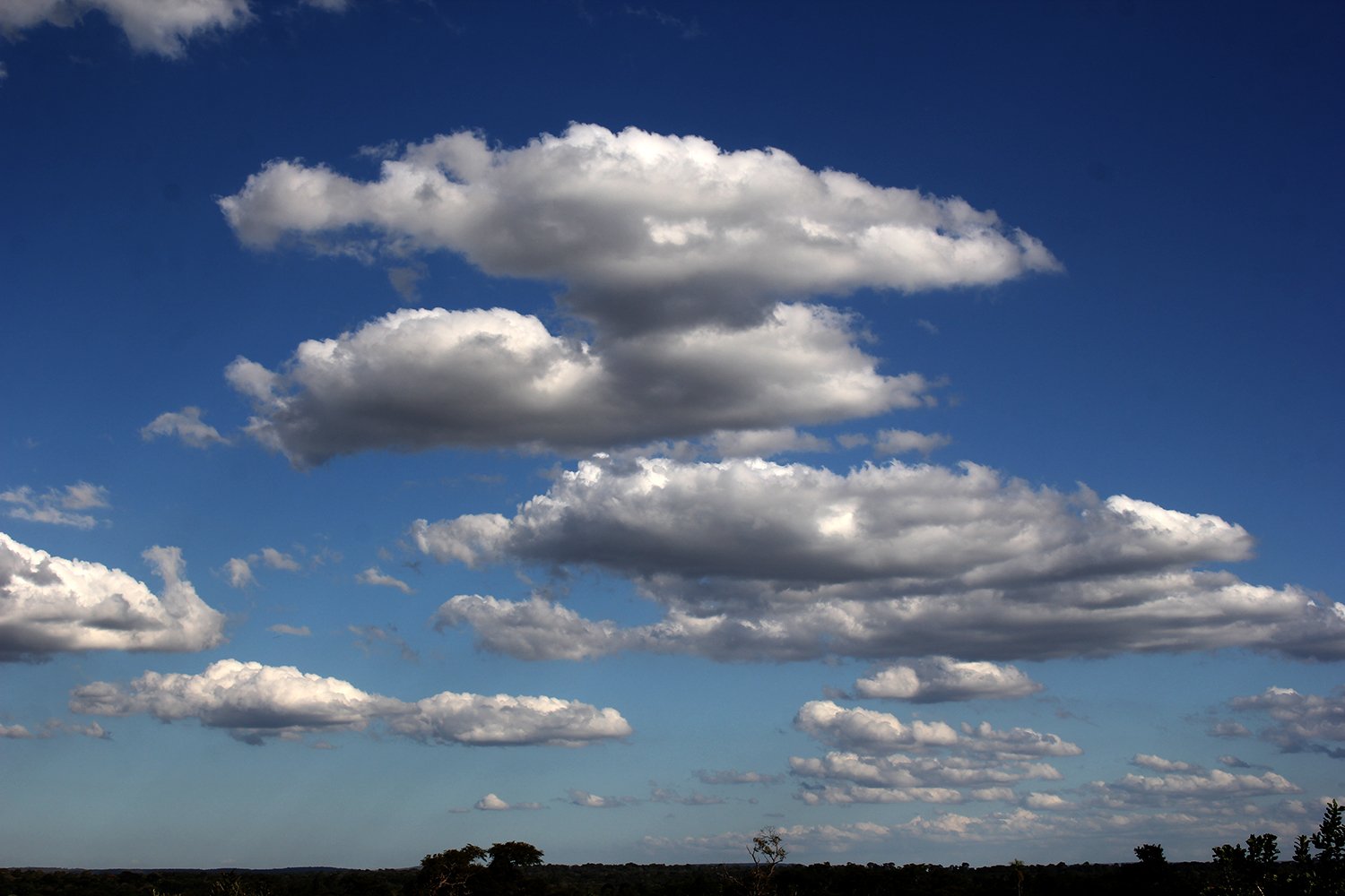 Terça-feira será de sol com algumas nuvens, mas sem chuva em Campo Grande